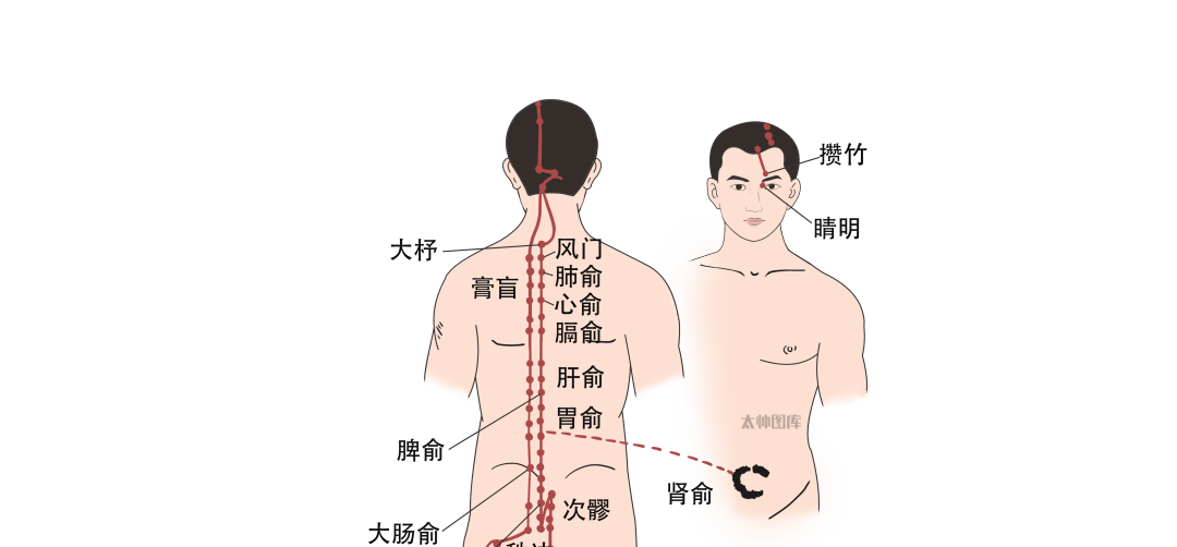 三伏天很多人被"种草",真的靠谱吗?