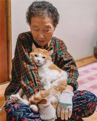 被奶奶带大的橘猫，这画风果然就是跟别人家的猫咪不太一样