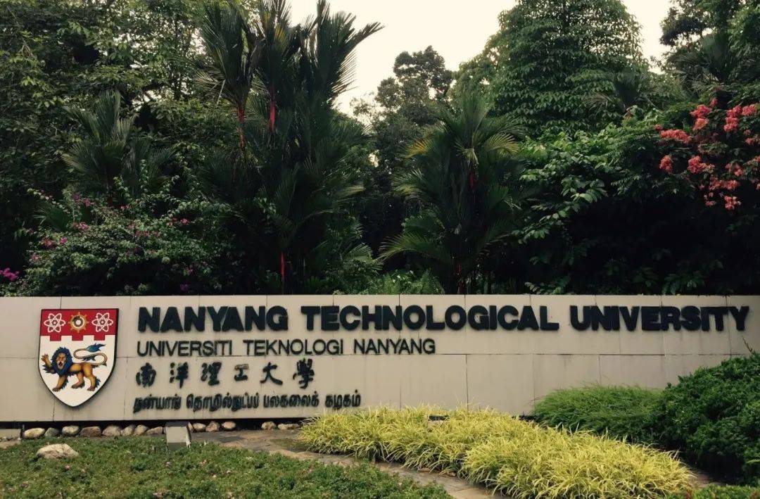 签证荷兰办理公司流程_签证荷兰办理公司要多久_办理荷兰签证公司