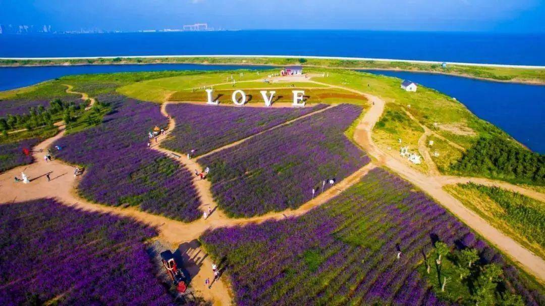 海洋声@天籁音乐会|7月26~28日连理岛,让我们一起用音乐看见大海.