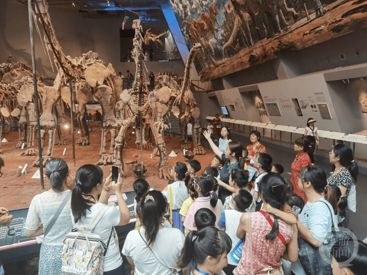 重庆117家免费开放博物馆取消预约,凭身份证即可入馆参观