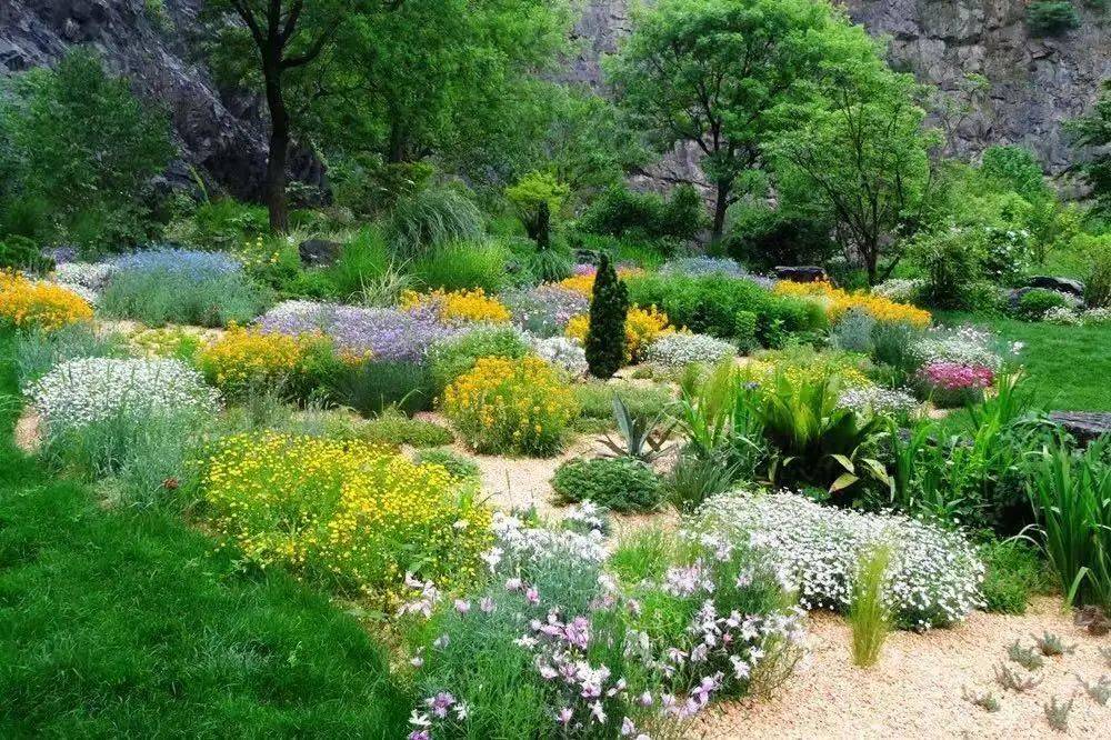 辰山夜游丨昆虫探险队,觅天蛾,昆虫领养_活动_植物园_松江