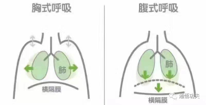 呼吸入腰百病全消|内功~呼吸之道