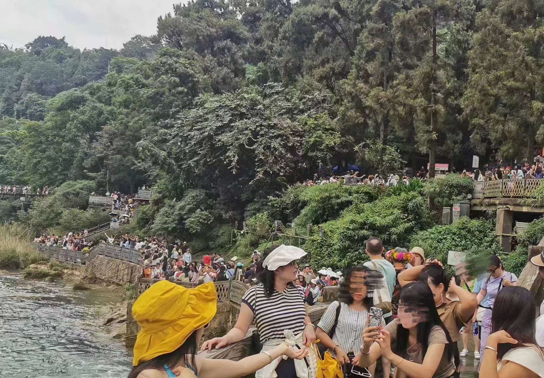 这个暑期三亚酒店量价齐跌当地旅游海豚体育登录从业者：等寒假(图3)