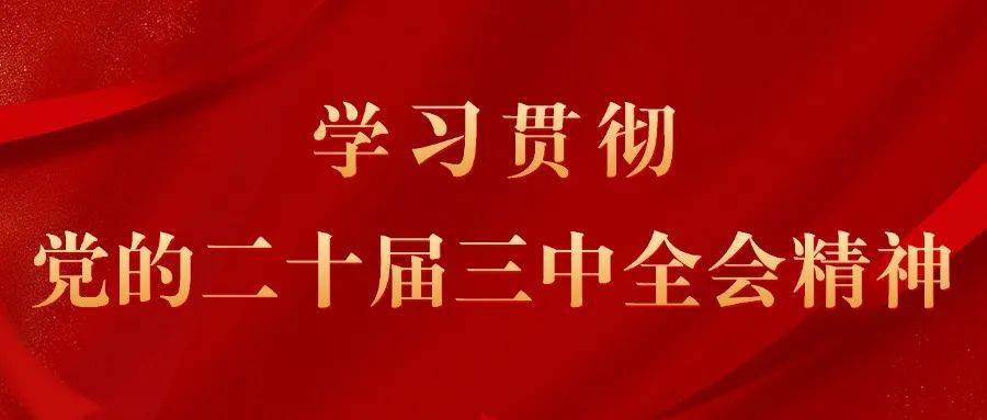 王东明：认真学习宣传贯彻党的二十届三中全会精神 团结动员广大职工为进一步全面深化改革、推进中国式现代化作贡献_建设_部署