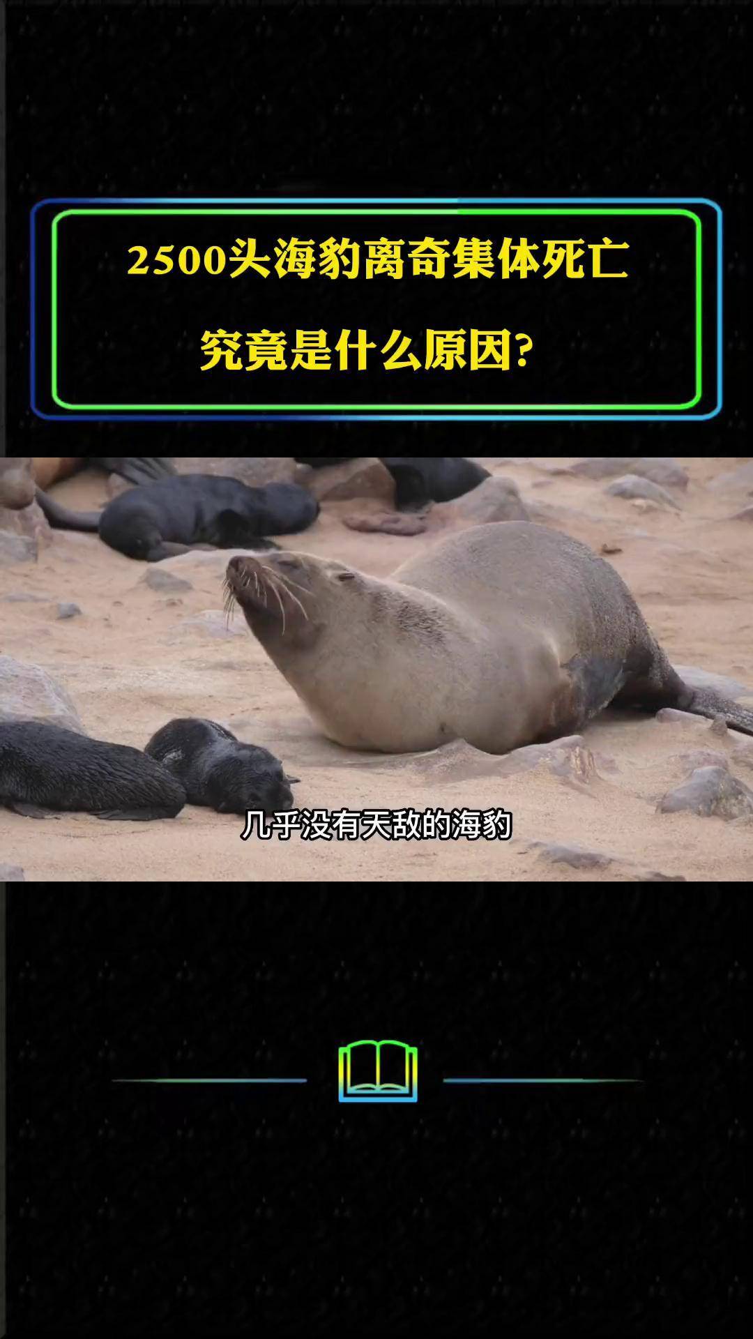 海豹咬人么图片