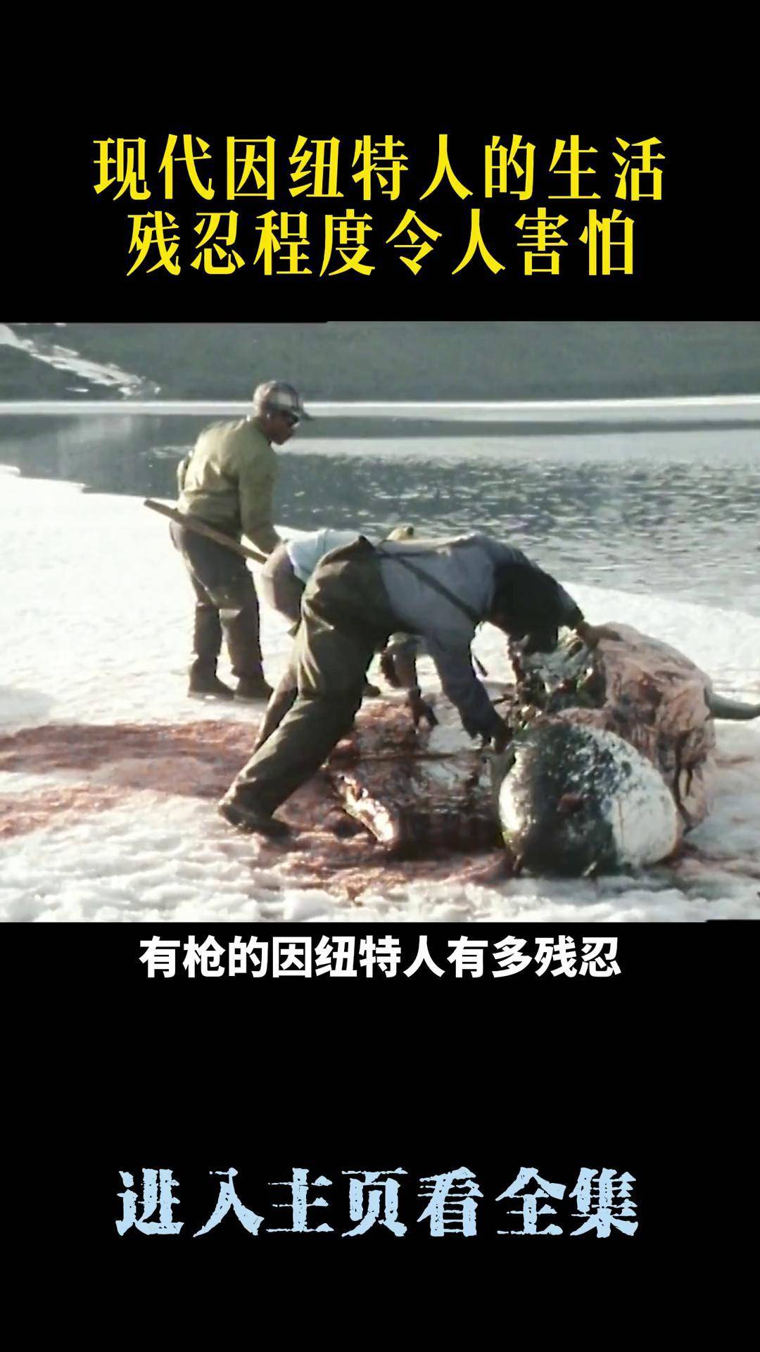 现代因纽特人的生活,残忍程度令人毛骨悚然, 纪录片 因纽特人的生活