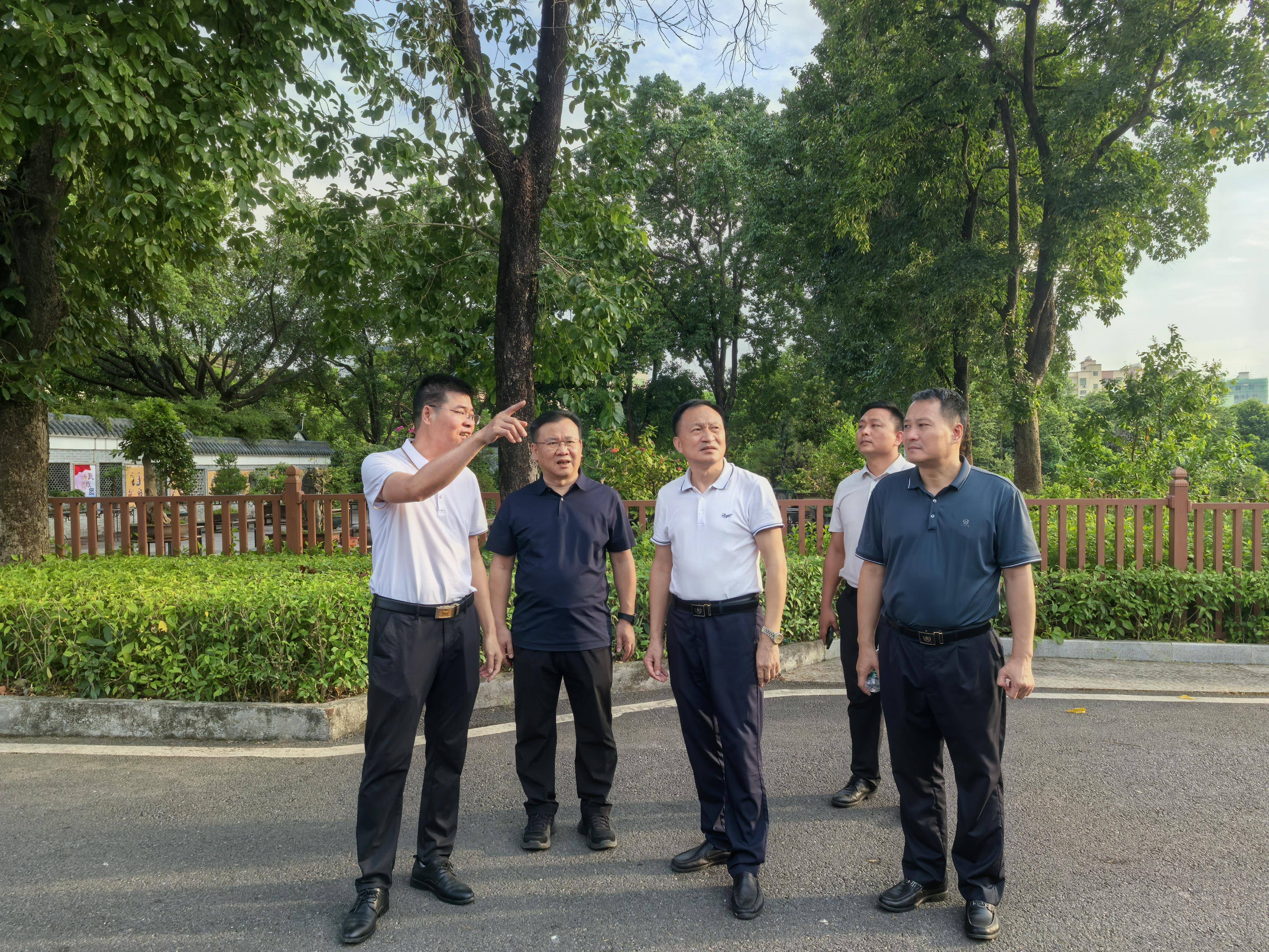 东莞市城管局副局长陈创业率队到大岭山镇调研督导第二批省典型村培育