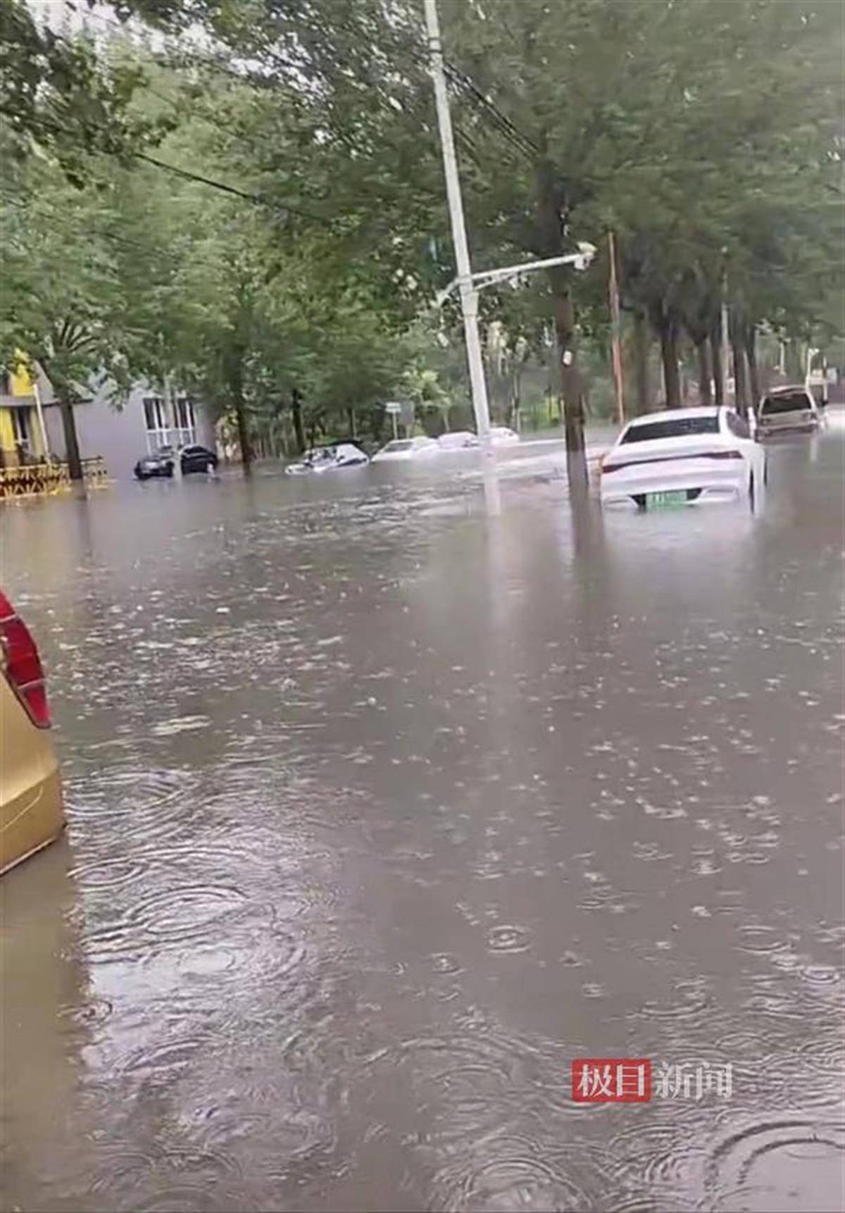 沈阳暴雨致市区严重内涝，商户：店内积水深至大腿，街上车辆几乎没顶