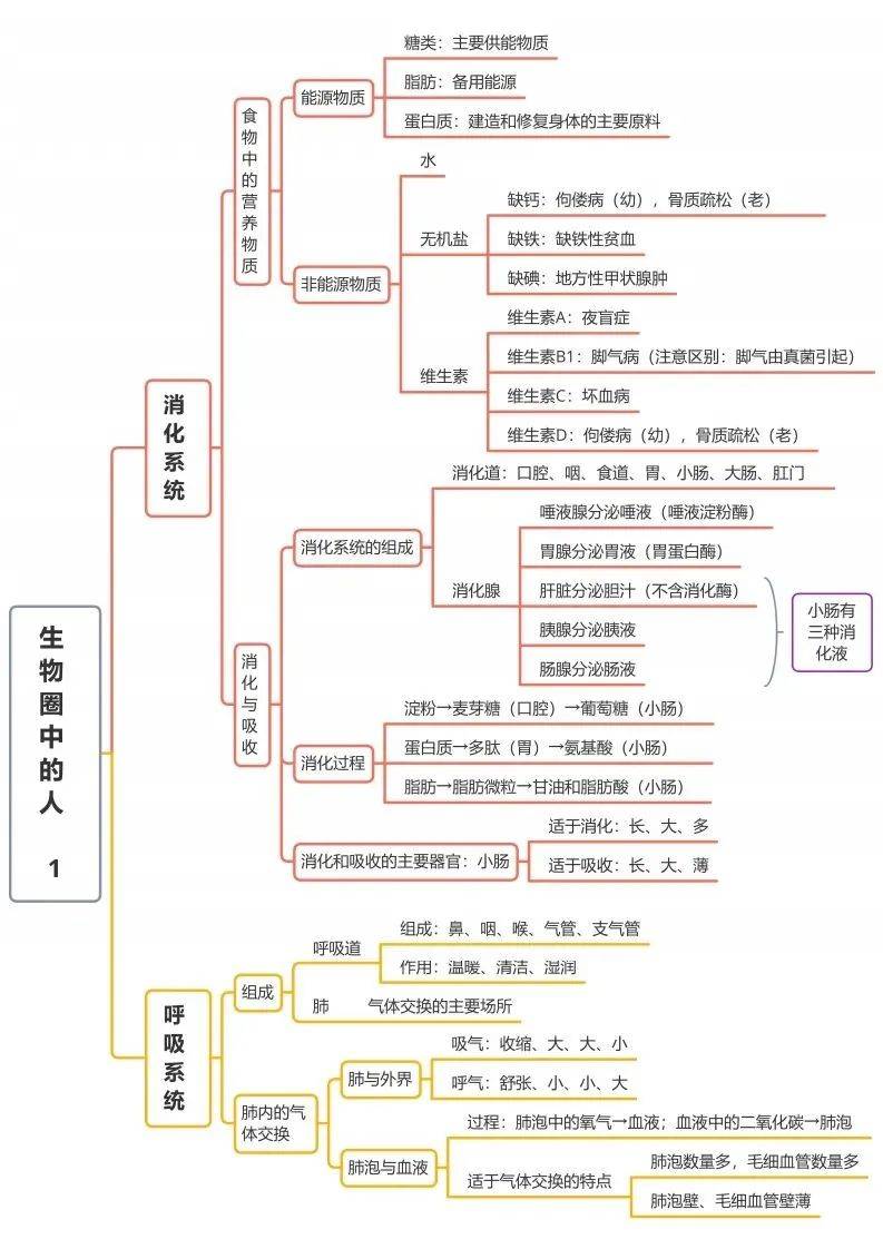 初中生物全册思维导图总结