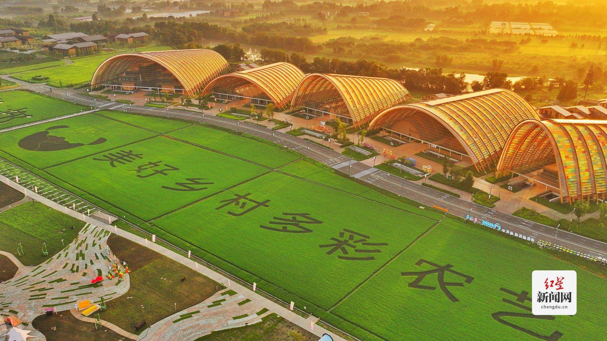 倒计时一天!来新津"嗨"耍国际友城青年音乐周