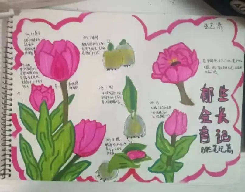 手抄报制作不仅可以锻炼书写和绘画能力,同时也是构图与规划能力提高