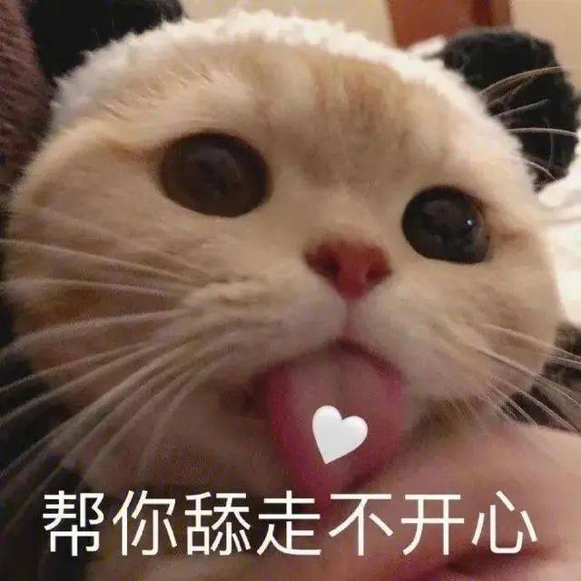 骚骚贱贱的表情包!死鬼 变态!