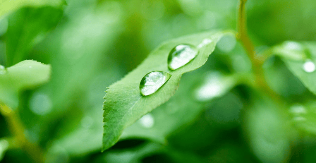 湿土之年，脾湿难除！一个排湿法，赶走湿气一身轻！_中药_夏天_方法