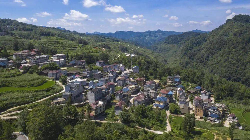  /p>  p>近年来,务川仡佬族苗族自治县分水镇三星村在巩固拓展脱贫