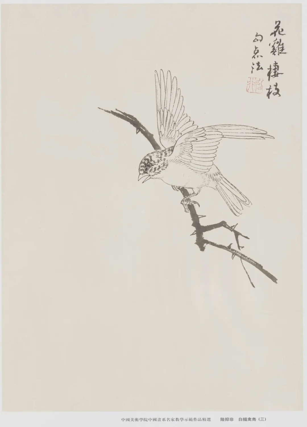 陆抑非《白描禽鸟》十四幅