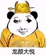 龙图这个梗指的是关于龙女士的表情包,这张脸真的过于魔性,感染力十足