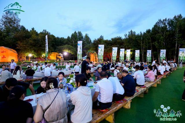 全国知名民宿人齐聚伊春，共探森林康养民宿发展新路径