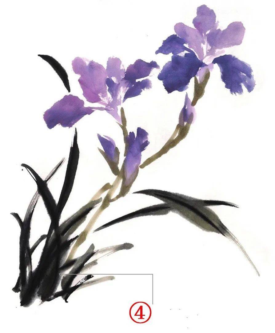 学画写意花卉:玉簪花,鸢尾花,栀子花,绣球花