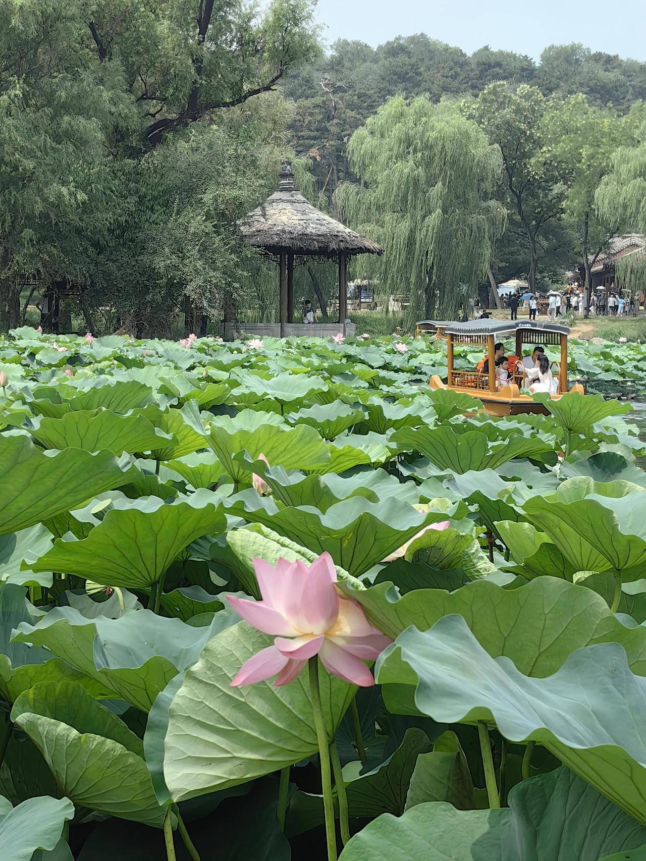晚潮|燕赵大地行:走进承德避暑山庄