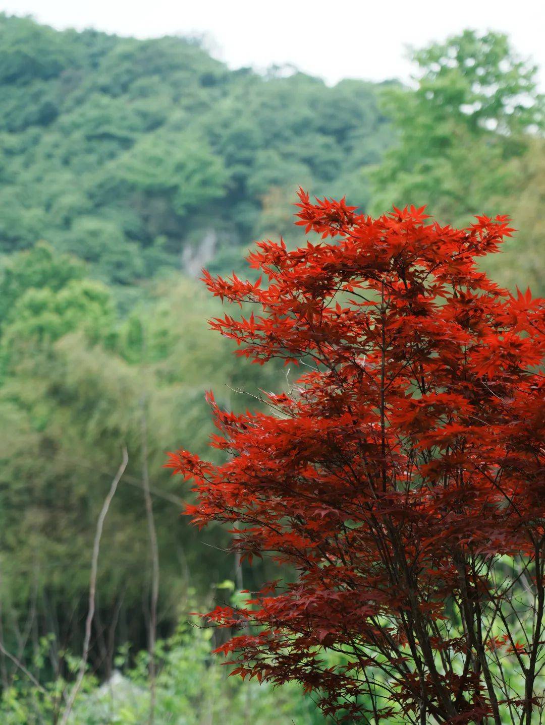 南接萧山最南端的楼塔萧南,岩上,岩山三村,北至