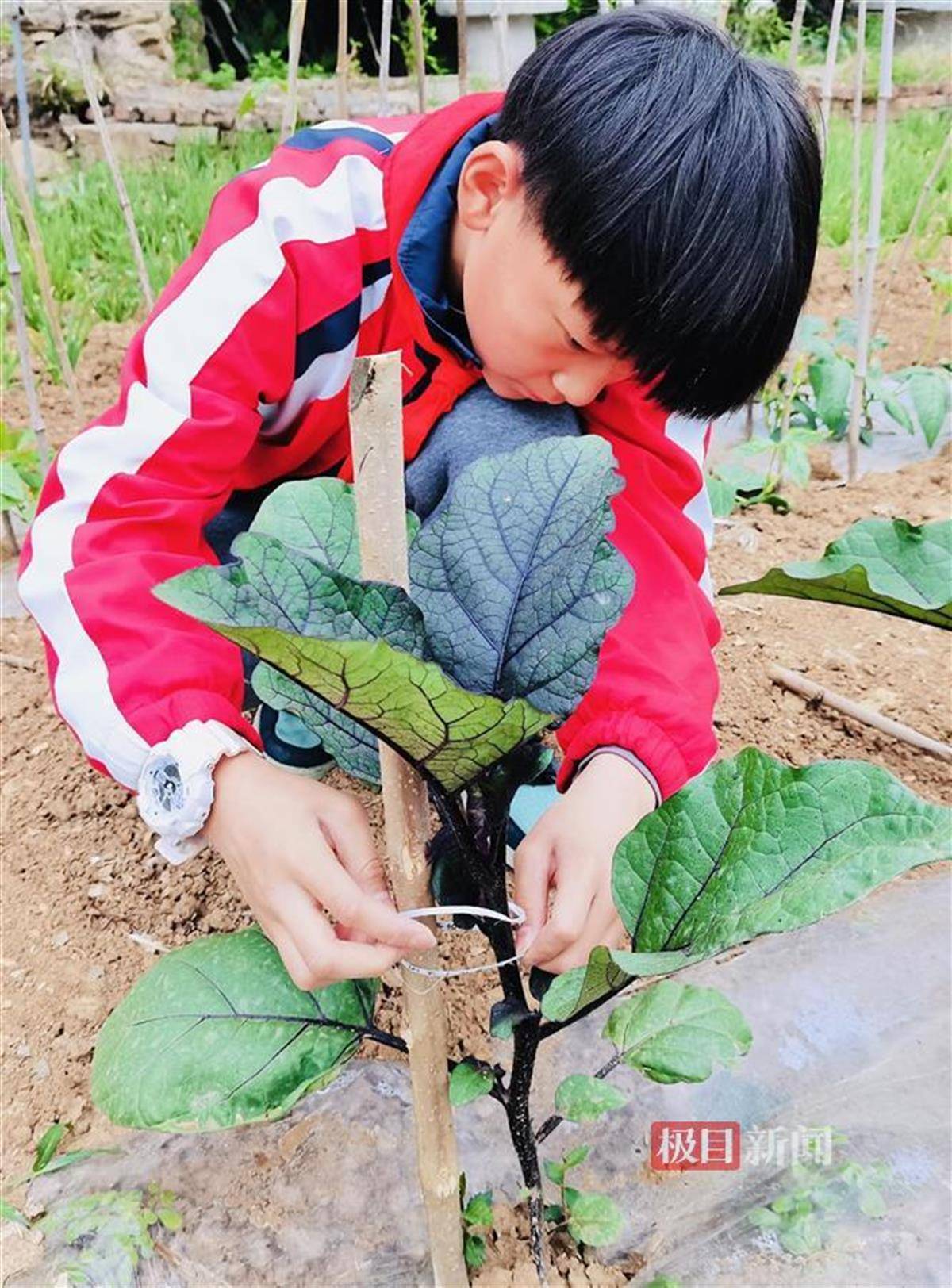 神马：澳门王中王100%的资料:单双t两肖-山东工程职业技术大学：一所实力强劲的职业教育学府