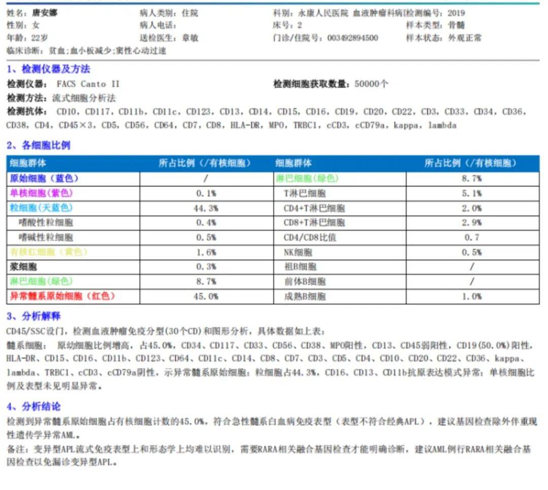 白血病怎么检查图片