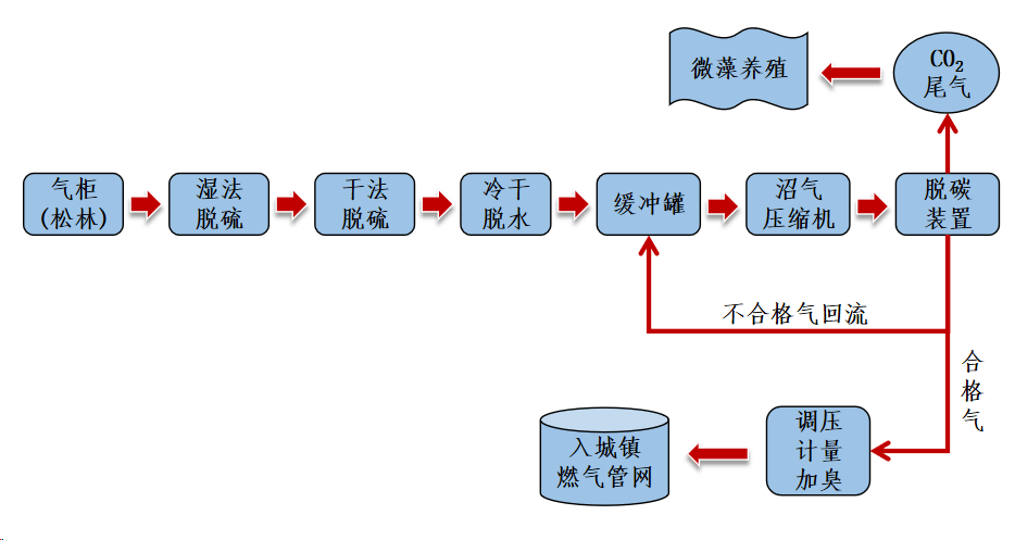 减污降碳｜上海第一批减污降碳案例㉔：金山现代农业园区松林楼房规模化生态养猪场沼气提纯项目(图1)