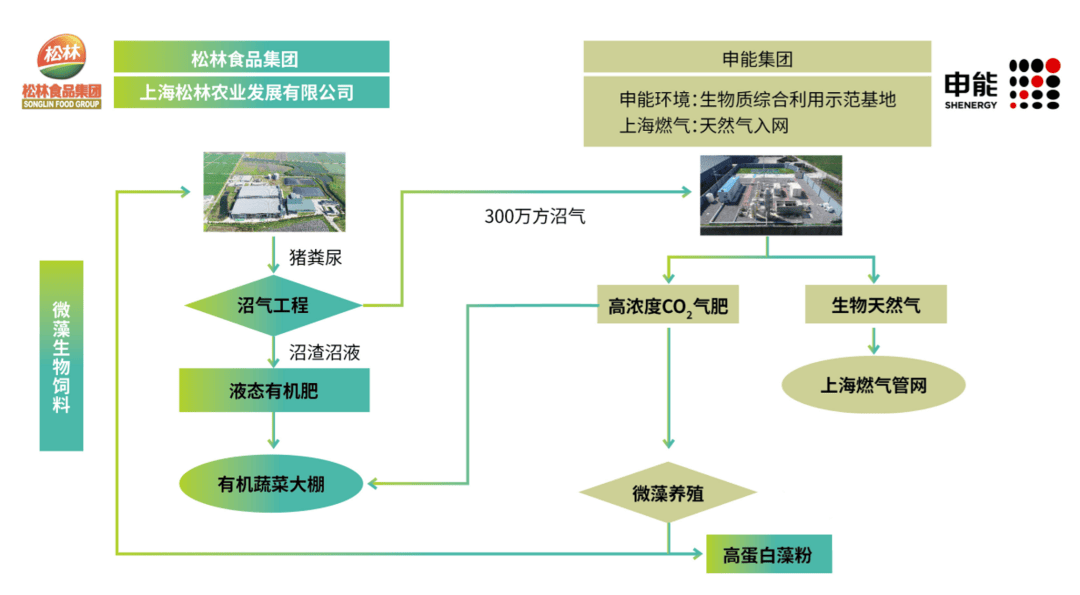 减污降碳｜上海第一批减污降碳案例㉔：金山现代农业园区松林楼房规模化生态养猪场沼气提纯项目(图2)