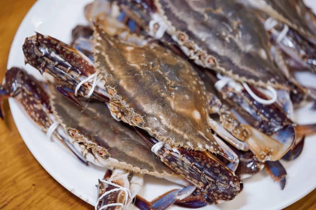 新鲜开捕的野生梭子蟹!码头直供,肥美鲜甜,根本停不下来