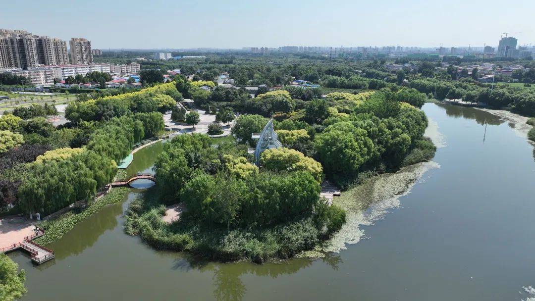 白鹭蹁跹生态美_石柏_公园_鹿泉