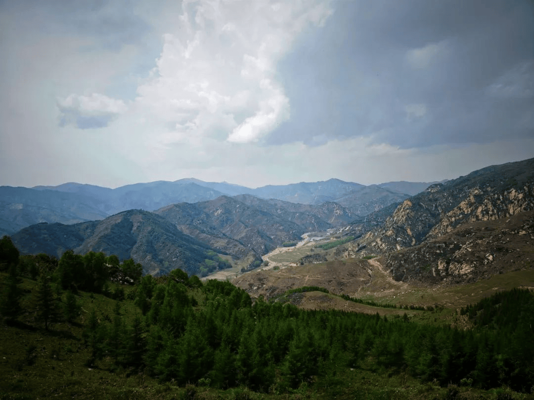 高山,森林,草原,云海,只看照片,仿佛置身新疆伊犁风景区.