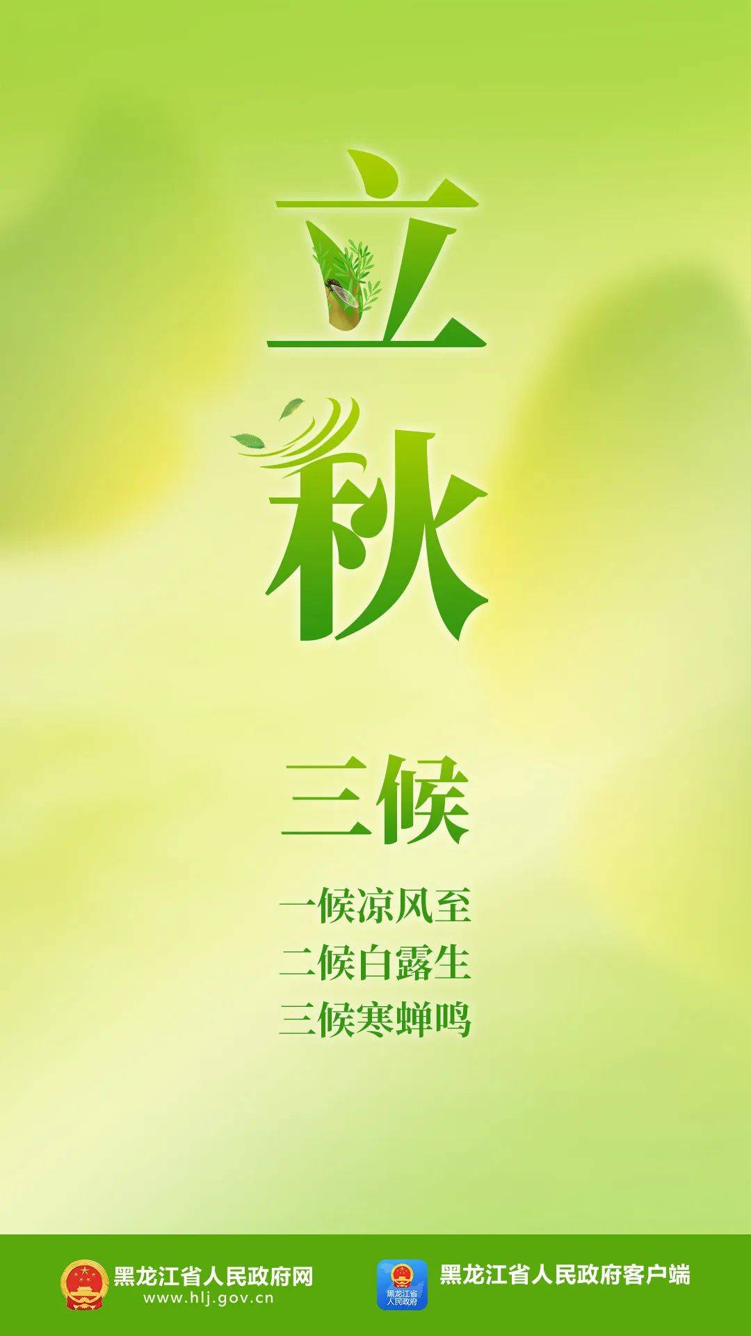 【安达发布 关注】今日立秋