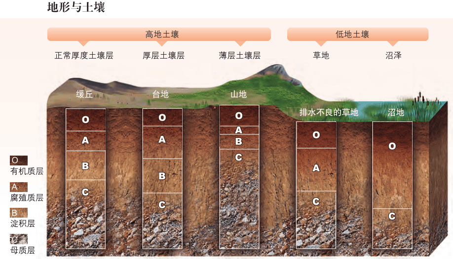 中国土壤类型分布