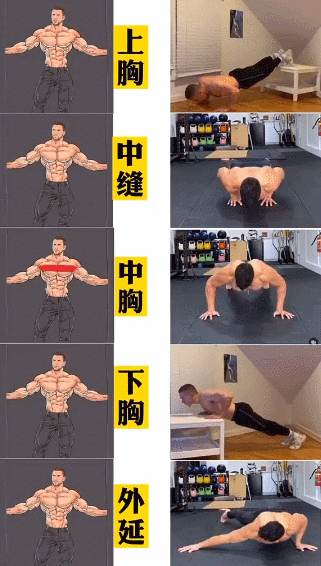 哑铃练胸肌的6个动作，助你练出完美大胸肌！