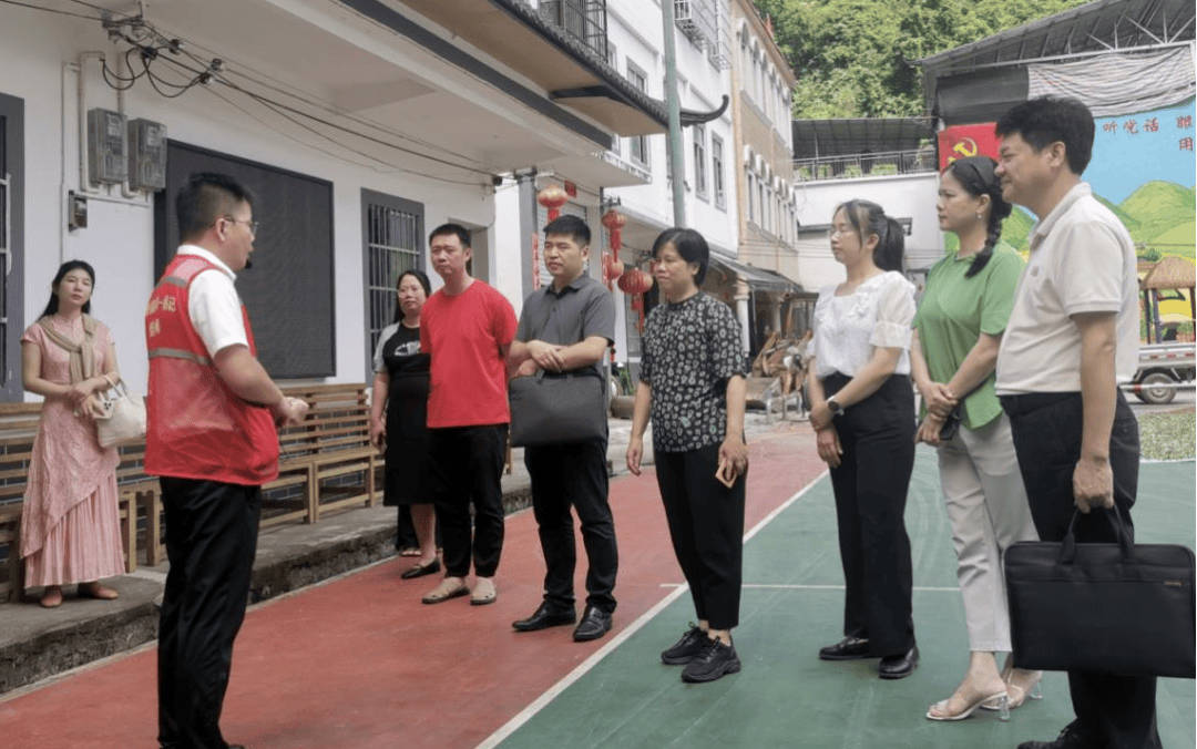 广西党外知识分子深入学习贯彻党的二十届三中全会精神_大新县_交流