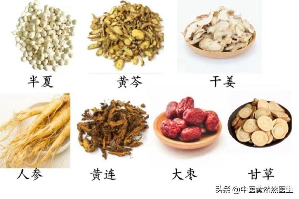 半夏泻心汤的组成 来自搜狐网