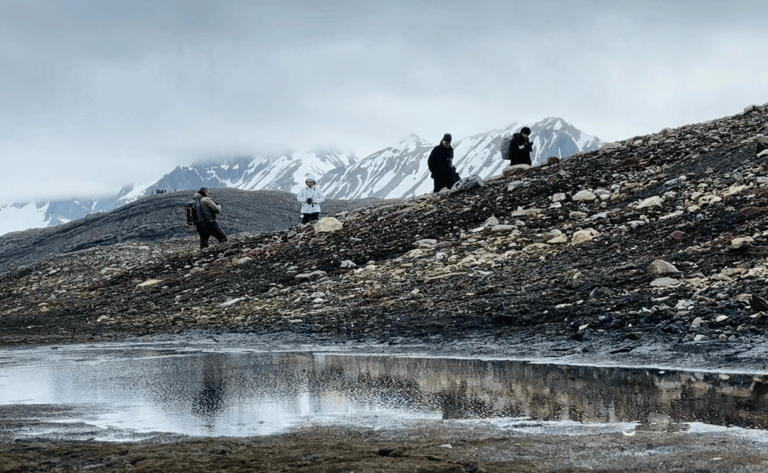 北极之旅,行行摄摄 (二):踏流冰,触冰雪,叩拜海洋动物,"冰原王者"北极