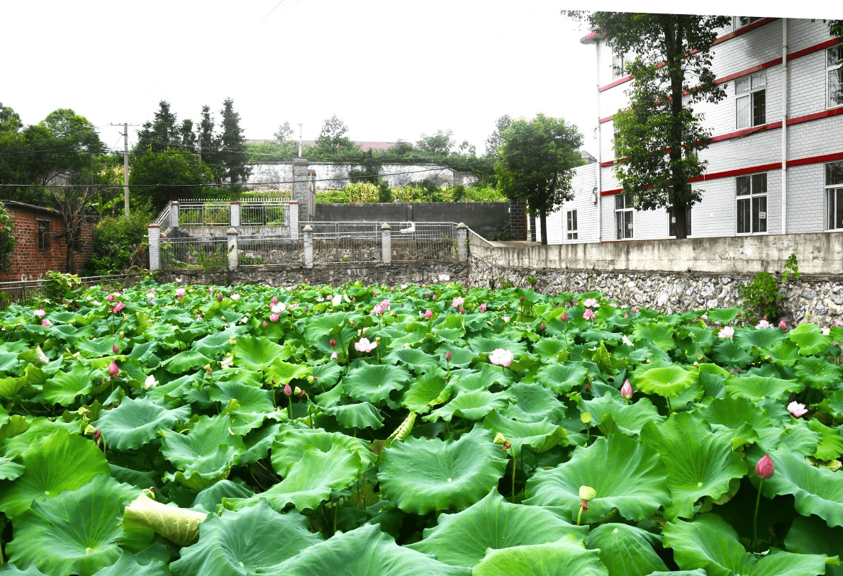 印象邵阳丨每日一景:新邵县陈家坊镇富阳村