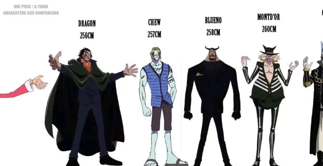 海贼王人物身高大盘点来了!