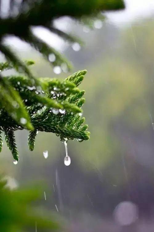 秋雨的夜,静静的,听雨,听你.点击查看