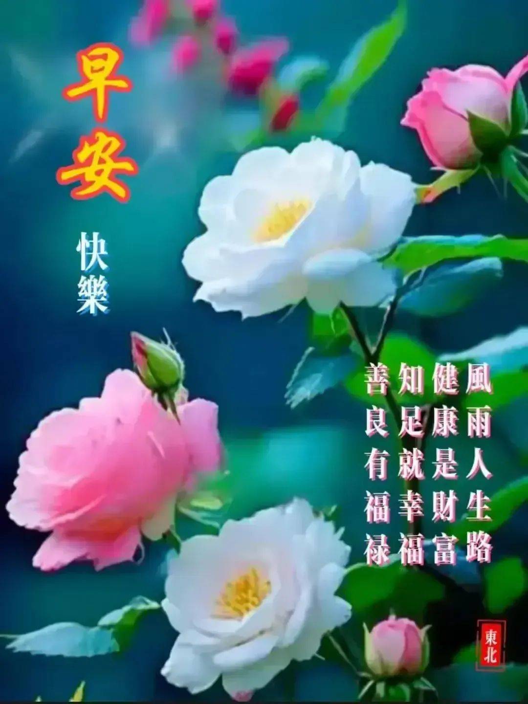 星期一早安快乐美图集锦!清晨祝福顺心如意健康快乐