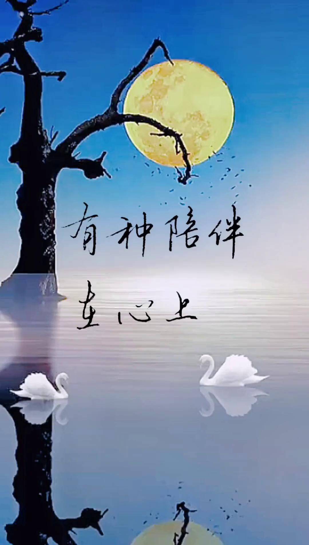 手写漂亮文字 情感 唯美意境