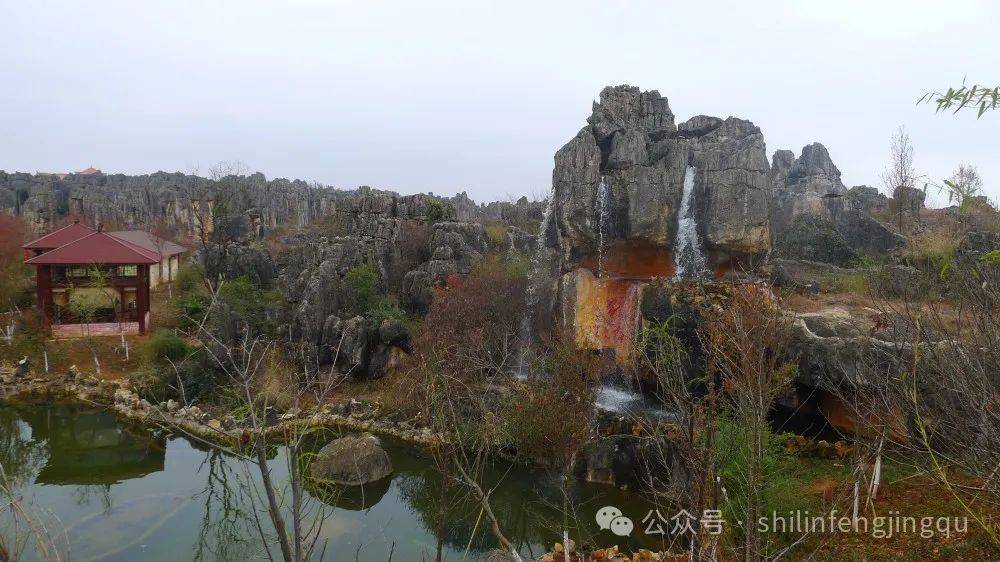 养生福地:杏林大观园_石林_医药_园区