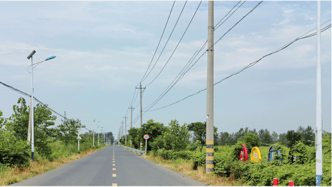 盱眙县桂五镇人大:代表为民服务微镜头