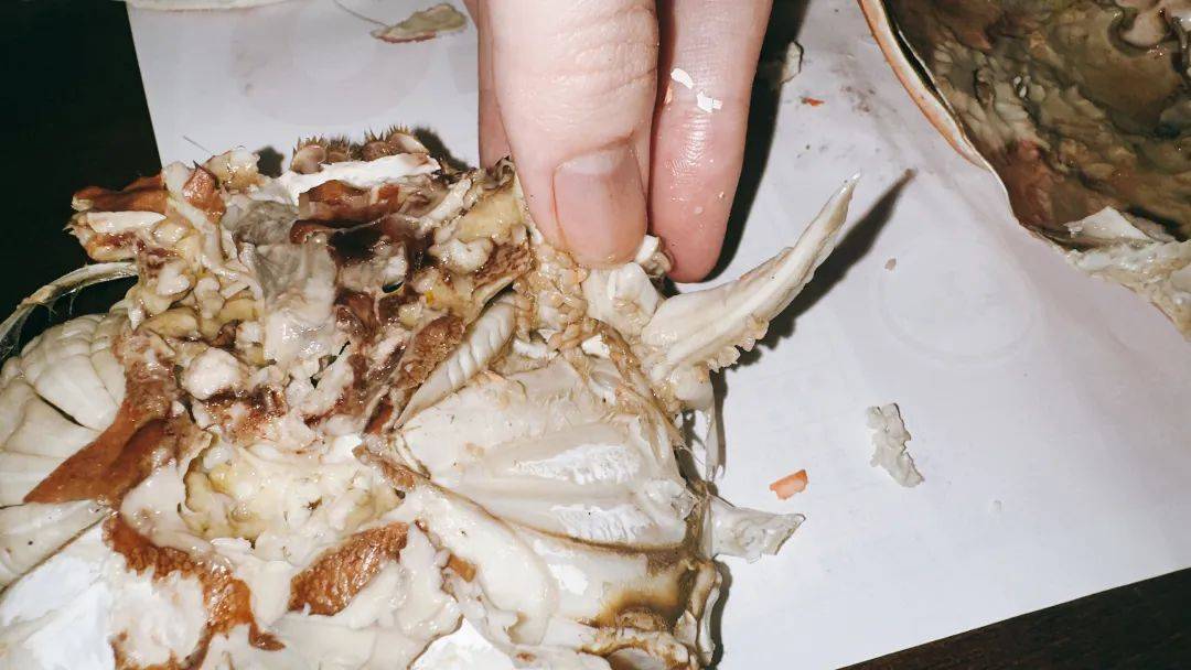 密密麻麻,全是"寄生虫"?最近瓜沥人餐桌上可能会有!