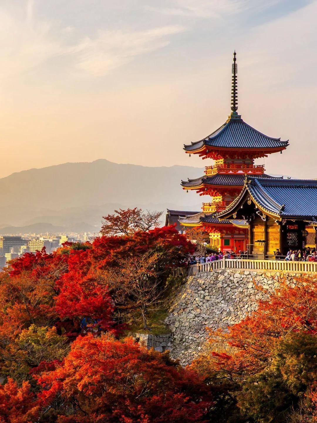 日本旅游丨快收藏!一定要在红叶季去趟日本