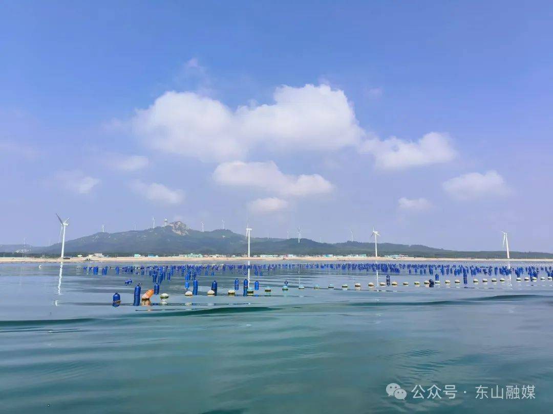 乌礁湾整治攻坚 | 入户摸排,拆除养殖设施