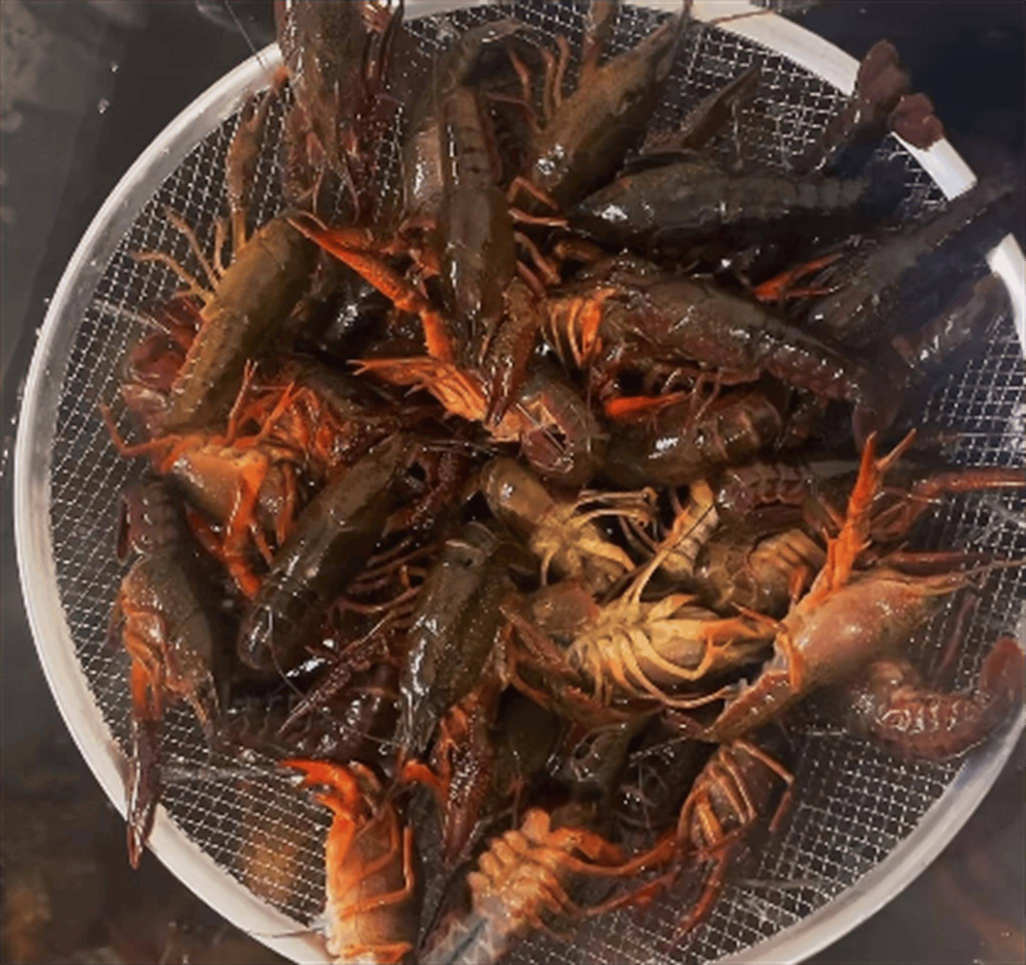 注意个人健康状况:特殊人群如孕妇,过敏体质者等应避免食用小龙虾或