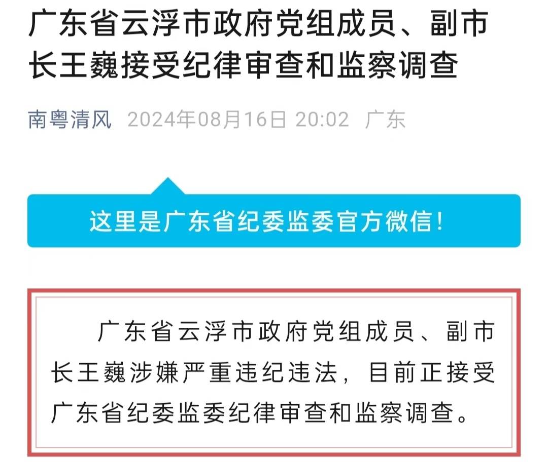 广东省云浮市政府党组成员,副市长王巍接受纪律审查和监察调查